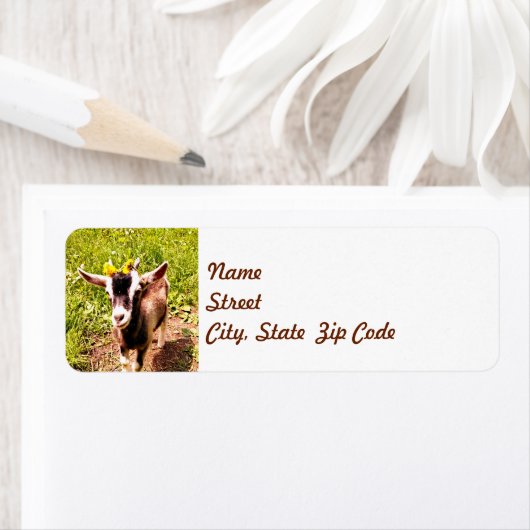 Kinderziege mit Blume - Rücksendeadresse (Insitu)