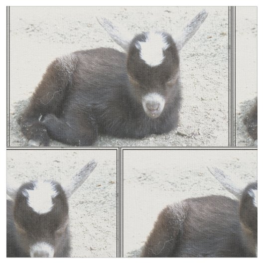 Kinderziege Stoff (Nahaufnahme)