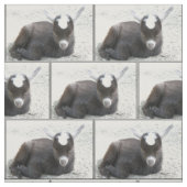 Kinderziege Stoff (Muster)