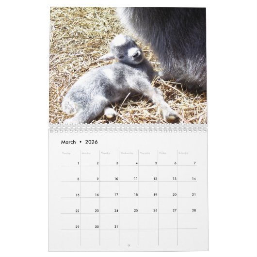 Kinderziegen-Kalender Kalender (Mär 2026)