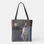 Kinderziegen-Spielen Tasche (Rückseite)
