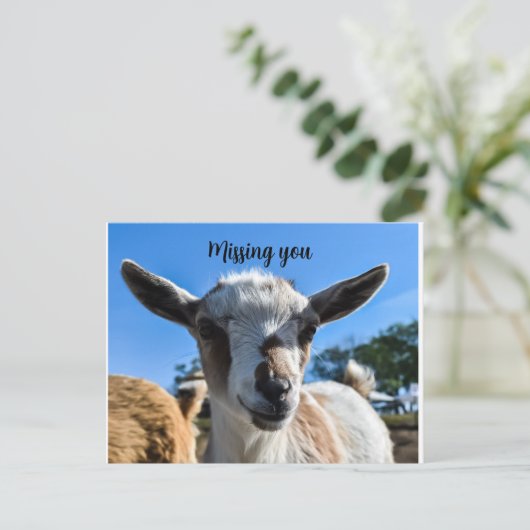 Kinderziegengruß Postkarte (Stehend Vorderseite)