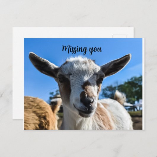 Kinderziegengruß Postkarte (Vorne/Hinten)