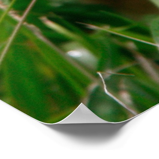 Kinderziegenposter Poster (Ecke)