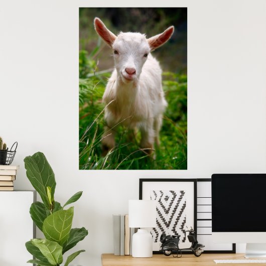 Kinderziegenposter Poster (Heimbüro)