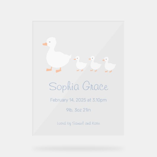 Kinderzimmer Dekoration Kinderdusche oder Ankündig (Vorderseite)