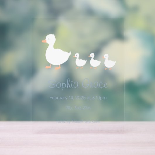 Kinderzimmer Dekoration Kinderdusche oder Ankündig (Neutral)