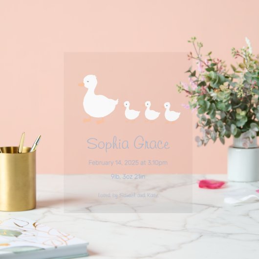 Kinderzimmer Dekoration Kinderdusche oder Ankündig (Hochzeit)