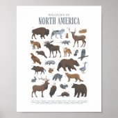 Kinderzimmer-Dekoration von Waldtieren Wildtiere K Poster (Vorne)