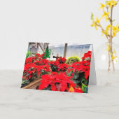 Kinderzimmer poinsettias karte (Gelbe Blume)