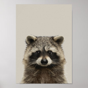 Kinderzimmer-Poster für Kleinkinder - Racoon Poster