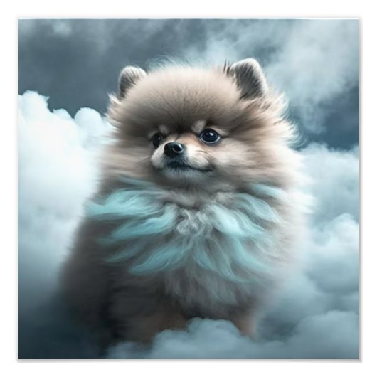 Kinderzimmer- und Kinderzimmerdrucke Fotodruck (Vorne)