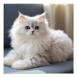 Kinderzimmer- und Kinderzimmerdrucke von Kitten Fotodruck