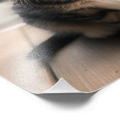 Kinderzimmer- und Kinderzimmerdrucke von Kitten Fotodruck (Ecke)