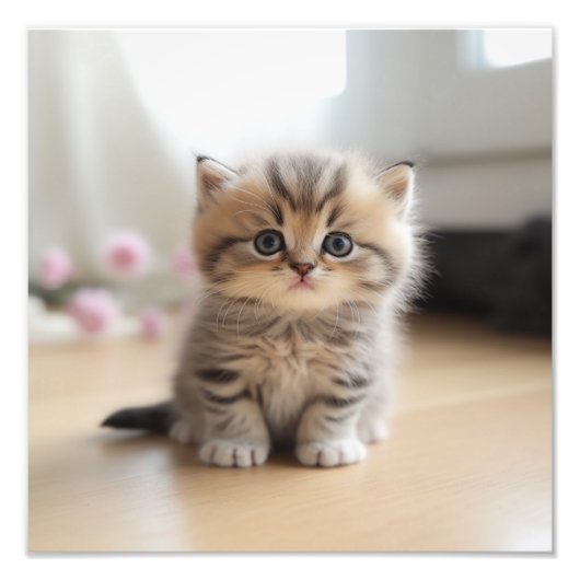 Kinderzimmer- und Kinderzimmerdrucke von Kitten Fotodruck (Vorne)