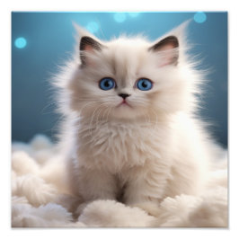 Kinderzimmer- und Kinderzimmerdrucke von Kitten Fotodruck