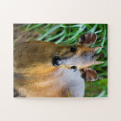 Kinderzoo-Tierpuzzle Puzzle (Horizontal)