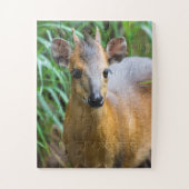 Kinderzoo-Tierpuzzle Puzzle (Vertikal)