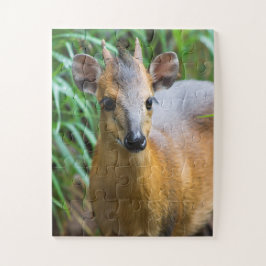 Kinderzoo-Tierpuzzle Puzzle