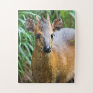 Kinderzoo-Tierpuzzle Puzzle