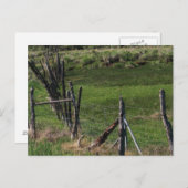 Kindheit I Postkarte (Vorne/Hinten)