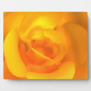 Kindle Rose Foto Plaque Fotoplatte