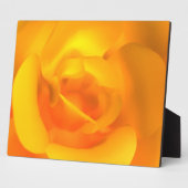 Kindle Rose Foto Plaque Fotoplatte (Seite)