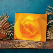 Kindle Rose Foto Plaque Fotoplatte (Seite)