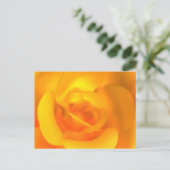 Kindle Rose Postcard Postkarte (Stehend Vorderseite)