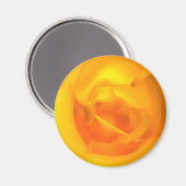 Kindled Rose Magnet (Vorderseite/Rückseite)