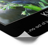 Kindness Baby Bird Inspiration Poster (Ecke)