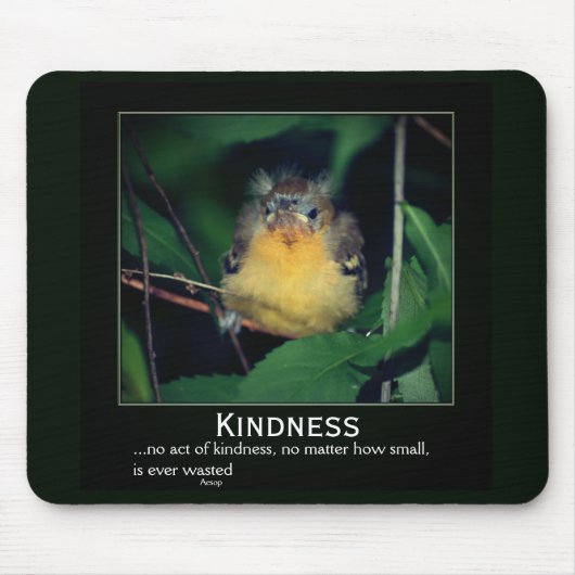 Kindness Baby Oriole Inspiration Mousepad (Vorne)