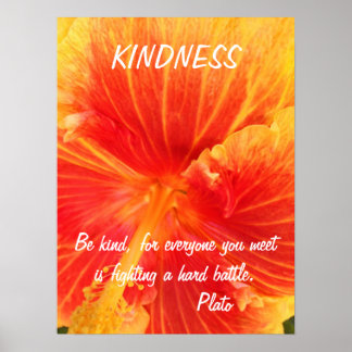Kindness Inspiration Poster Quote Plato Hibiskus
