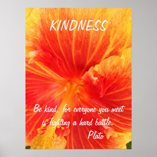 Kindness Inspiration Poster Quote Plato Hibiskus (Vorne)