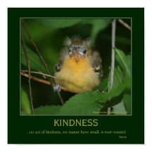 Kindness Inspiration Zitat Baby Oriole