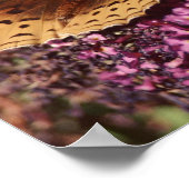 Kindness Is The Language Poster (Ecke)