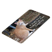 Kindness Orange Tabby Cat Magnet (Linke Seite)