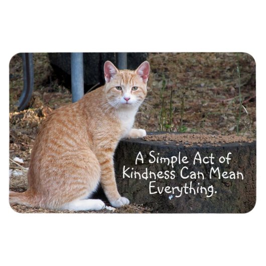 Kindness Orange Tabby Cat Magnet (Horizontal)
