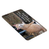 Kindness Orange Tabby Cat Magnet (Rechte Seite)