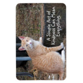 Kindness Orange Tabby Cat Magnet (Vertikal)