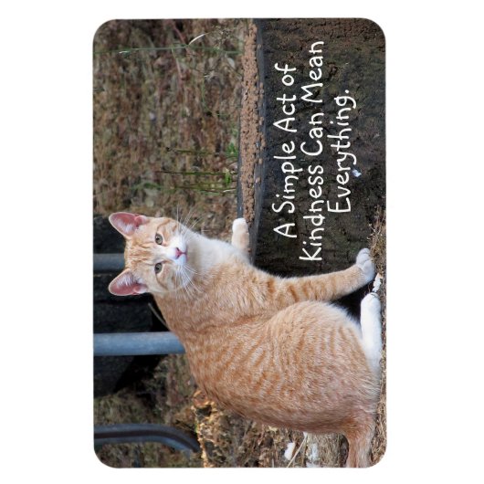 Kindness Orange Tabby Cat Magnet (Vertikal)