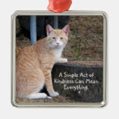 Kindness Orange Tabby Cat Ornament (Vorne)