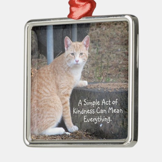 Kindness Orange Tabby Cat Ornament (Links)