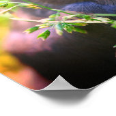 Kindness Quote Baby Bird Inspiration Poster (Ecke)