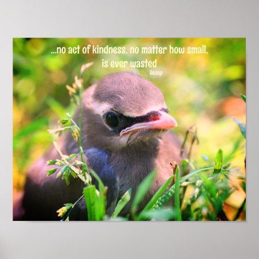 Kindness Quote Baby Bird Inspiration Poster (Vorne)