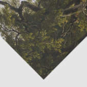 Kindred Spirits, 1849 von Asher Brown Durand Seidenpapier (Detail)