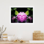 Kindred Spirits Butterfly Fotografie Print Poster (Küche)