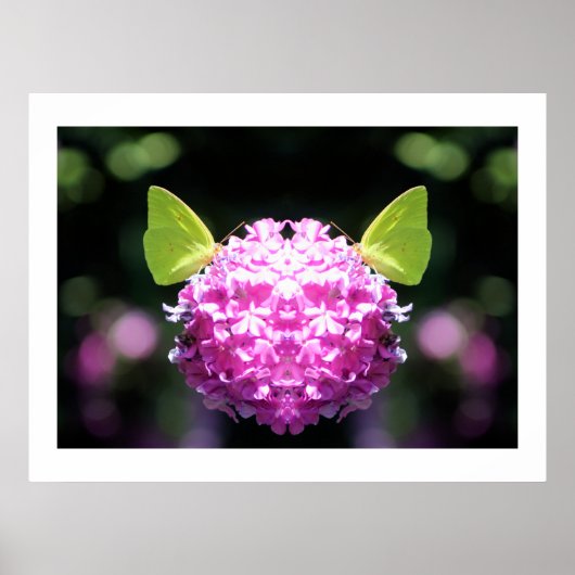 Kindred Spirits Butterfly Fotografie Print Poster (Vorne)