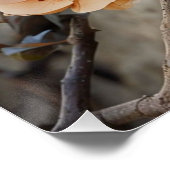 Kinematik: Dramatische Illustration der Blumen Poster (Ecke)