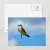 King Bird Postkarte (Vorne/Hinten)